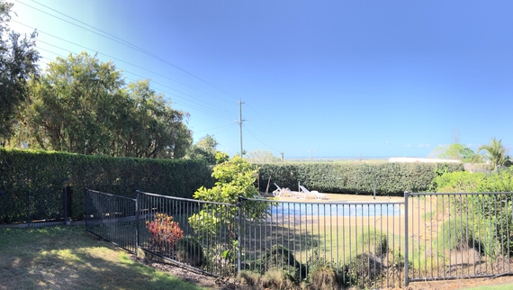 Pool with beautiful hedges