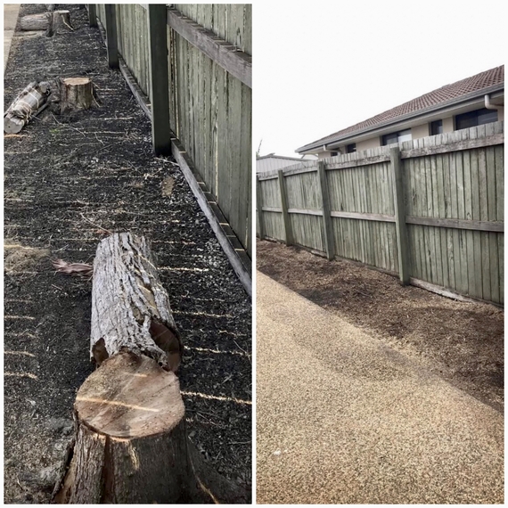Before and after shot of tree removal