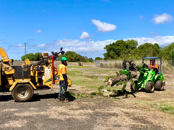 Tree removal machinery